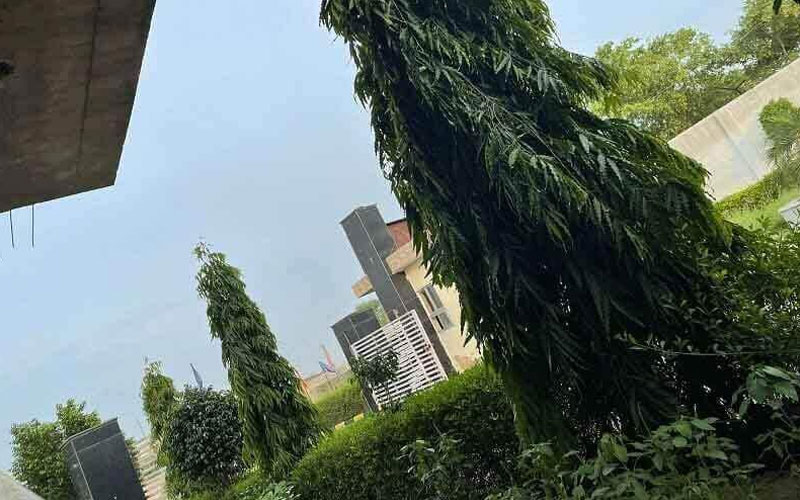 Yadav Properties